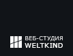 Создание сайтов в Бишкеке. Веб-студия "Weltkind"